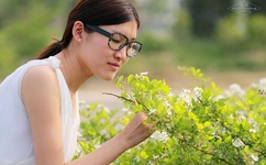 香蕉丝瓜草莓秋葵小猪芭乐茄子无限次数导航